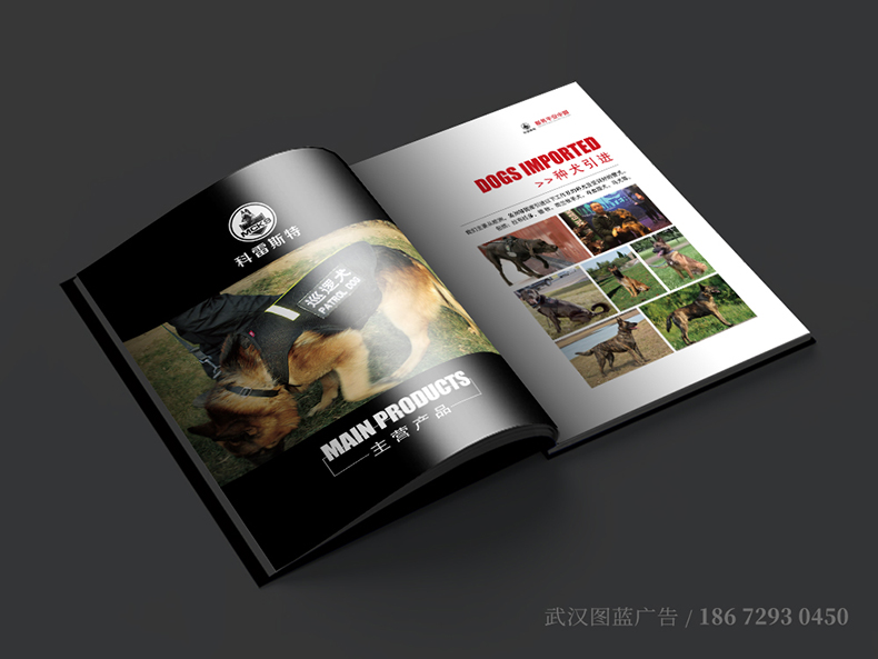 klst內(nèi)頁(yè)5